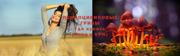 apvp Абинск