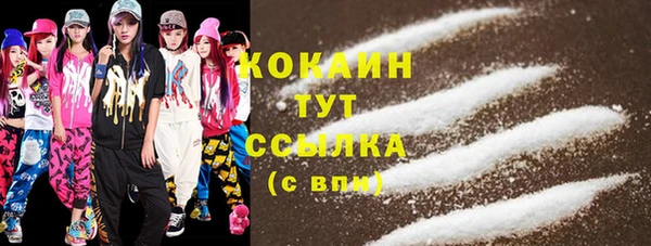 spice Пестово