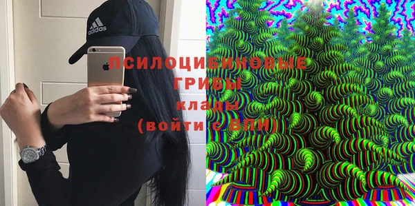 мяу мяу мука Абдулино
