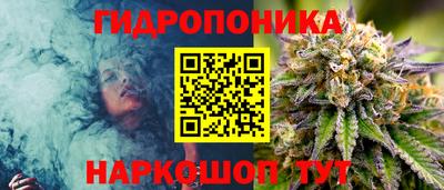 ГАЛЛЮЦИНОГЕННЫЕ ГРИБЫ Белореченск