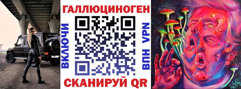 купить Алейск OMG зеркало Псилоцибиновые грибы Psilocybe