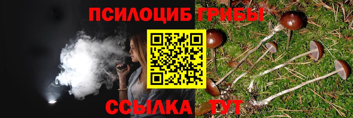 Алейск  Галлюциногенные грибы мицелий  купить наркотик  Галлюциногенные грибы GOLDEN TEACHER  Вход с VPN 