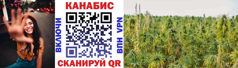купить закладку  Алейск  МАРИХУАНА гибрид 